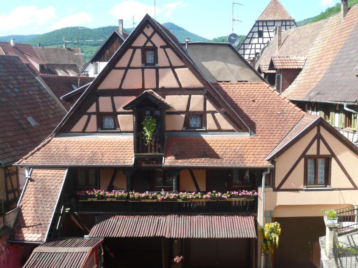 Le Seigle, La Cour Des Meuniers Apartment Kaysersberg-Vignoble Luaran gambar